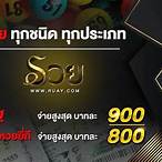 เวปพารวย
